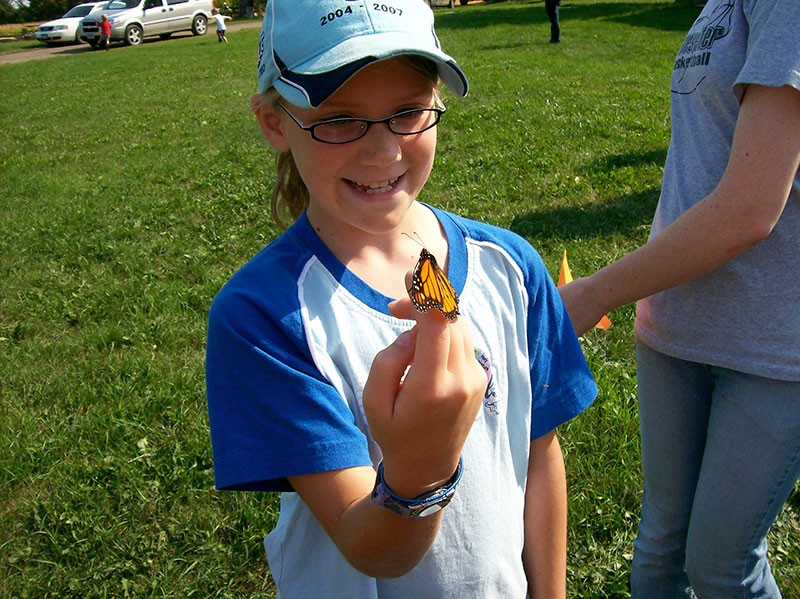 Teaching About Pollination